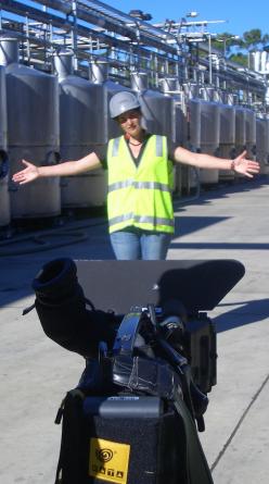 A worker in a hi-vis vest standing inside a large industrial winery