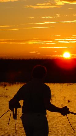 A vine grower silhouetted in the vineyard at sunset