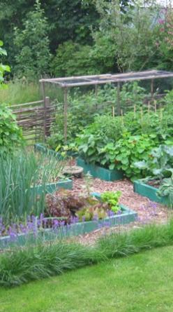 A lush permaculture garden with mixed planting