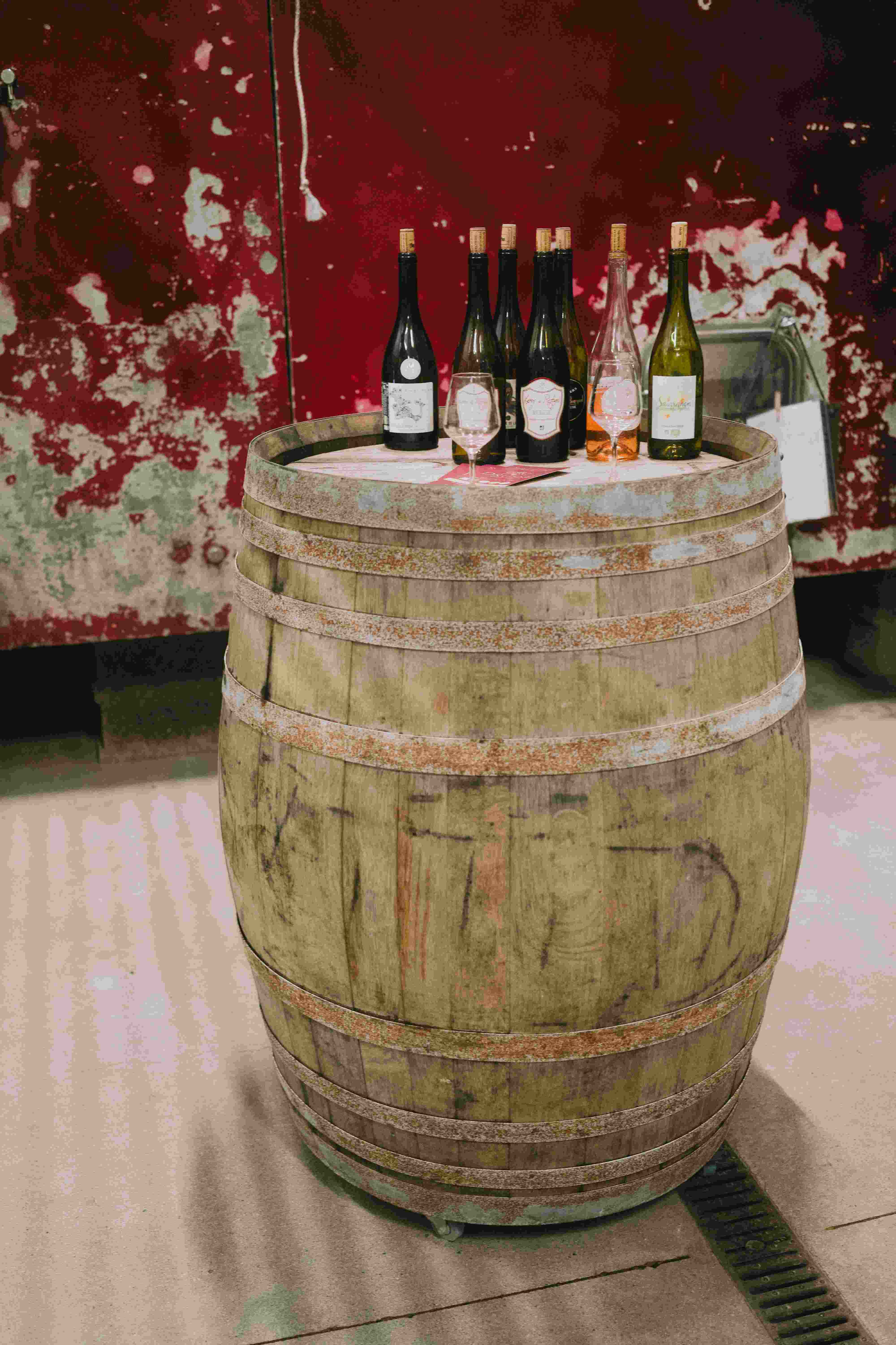 Winemaker drawing a barrel sample with a glass pipette in a cellar